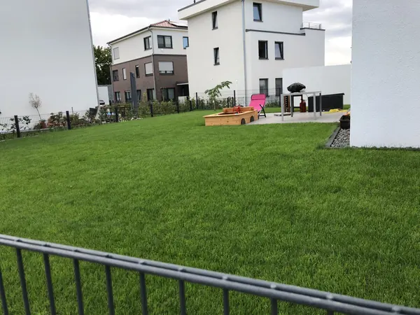 Rasenfläche im Hausgarten – Bad Vilbel